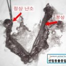 센텀동물종합병원 이미지