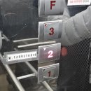 봄;1299스튜디오