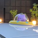 바다로일이오 | [국내/대전] 25년6월1박2일 무계획 대전 여행