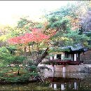 왕의 정원 이미지