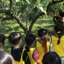 팜팜농장 이미지