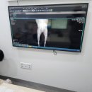 금비동물병원 | 대전동물메디컬센터숲 [다녀온 솔직후기] - 대전유성 동물병원