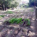 연서농장 이미지