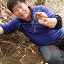 영심농장 이미지