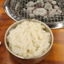 천안 신당동 갈비 맛집 리얼후기. 백년손님서서갈비 점심 가성비 대박