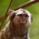 국립생태원동물병원 이미지