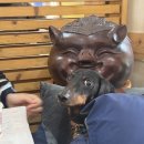 큰골식당 이미지