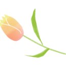 애월다락방 이미지