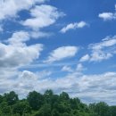 이유신피아노학원 이미지