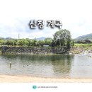 산청 지리산 계곡 삼장교 유수풀 대포숲 산청 계곡 캠핑장 물놀이 덕천서원 배롱나무