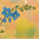 오지숙