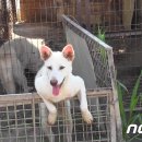 유예농장 이미지