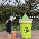 환은목장 | 겨울 제주도 서부 4박 5일 일정 둘째날(2) / 오설록 티뮤지엄 할인 / 금오름 / 제주맥주 양조장 / 택시...