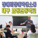 대구효동초등학교 | 초등학교통합교육 전문강사 장애비장애 소통 프로그램 대구 효동초 울산