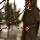 순천매산여자고등학교 이미지