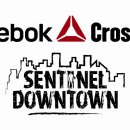 Reebok CrossFit Sentinel 에서 열정있는 크로스핏 & 부트캠프 여성 트레이너를 모집합니다. 마감임박!!!!!! 이미지