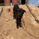 용두2리 이미지