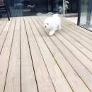 김포동물병원 이미지