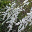 승준농장 이미지