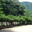 빛나리민박 이미지