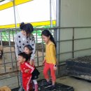 지산농장 이미지