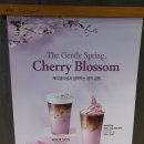 한밭목장 | 라떼 &amp; 체리블라썸 아이스크림 봄 신메뉴 내돈내먹 후기 + 폴바셋 대전 엑스포 스카이점 - 대전광역시...