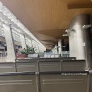 동언집 | 25년 우당탕탕 제주여행 1일차 시작