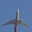 갈매기회센타 | 방아머리해변 갈매기 비행기 명소, 대부도 바다 나들이 후기