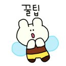 익산 고양이카페 아이캣유 이미지