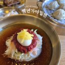 백년가야밀면 - 서귀포시 | 논산맛집/논산밥집: 백년 가야 밀면 후기