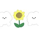 이츠모라멘 이미지