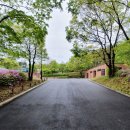 국립대구박물관 북문 야외 이미지