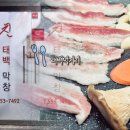 친태백막창