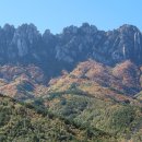 (주)아름다운손짓 이미지