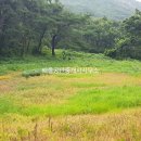 덕적면사무소 이미지