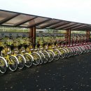 은행나무길 대여소 이미지