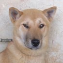 원광고등학교 이미지