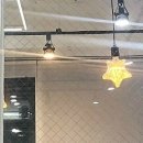 마이펫아카데미 이미지