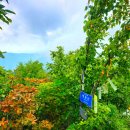 속곡2 Daum카페
