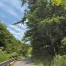 거북이 자동차정비 | 강원도 정선 가볼만한곳 &lt;민둥산&gt; 초보자 등산 코스 억새꽃 돌리네 산행