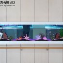 햇살자연어린이집 이미지