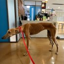 가창119안전센터 이미지