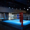 복싱피플 이미지