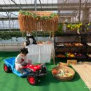 신관농장 이미지