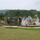 장자호수생태공원 이미지