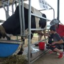 도농목장 이미지