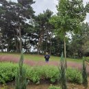 길상(吉祥) | 군산여행 ㅣ 공감 선유 갤러리 카페