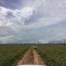 덕재농장 이미지