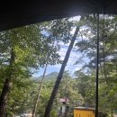 곡성-116 | 곡성 꿈꾸는캠핑장 116번 사이트 후기