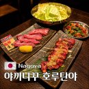 호루 | 나고야 가성비 야끼니꾸 맛집 호루탄야 솔직 후기